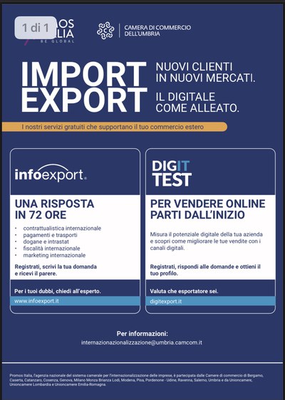 Locandina Import Export