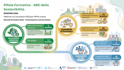 infografica pillole formative 2026.png